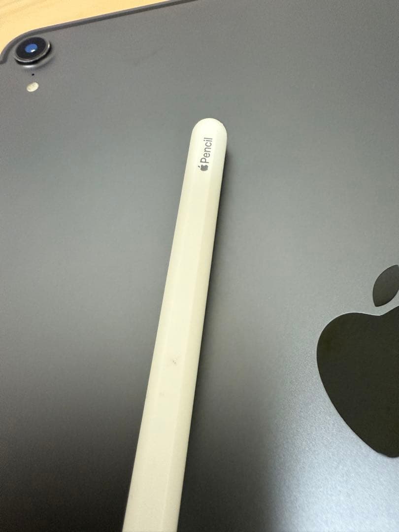 iPad Pro 11 第1世代 256GB Wi-Fi + Cellular