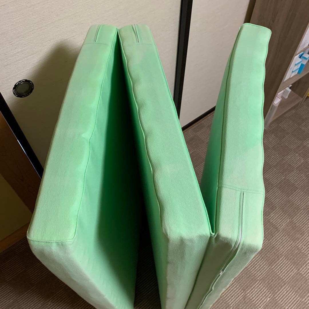 ヘルスウェーブDCバージョン(デラックス） 【新品・未使用品】