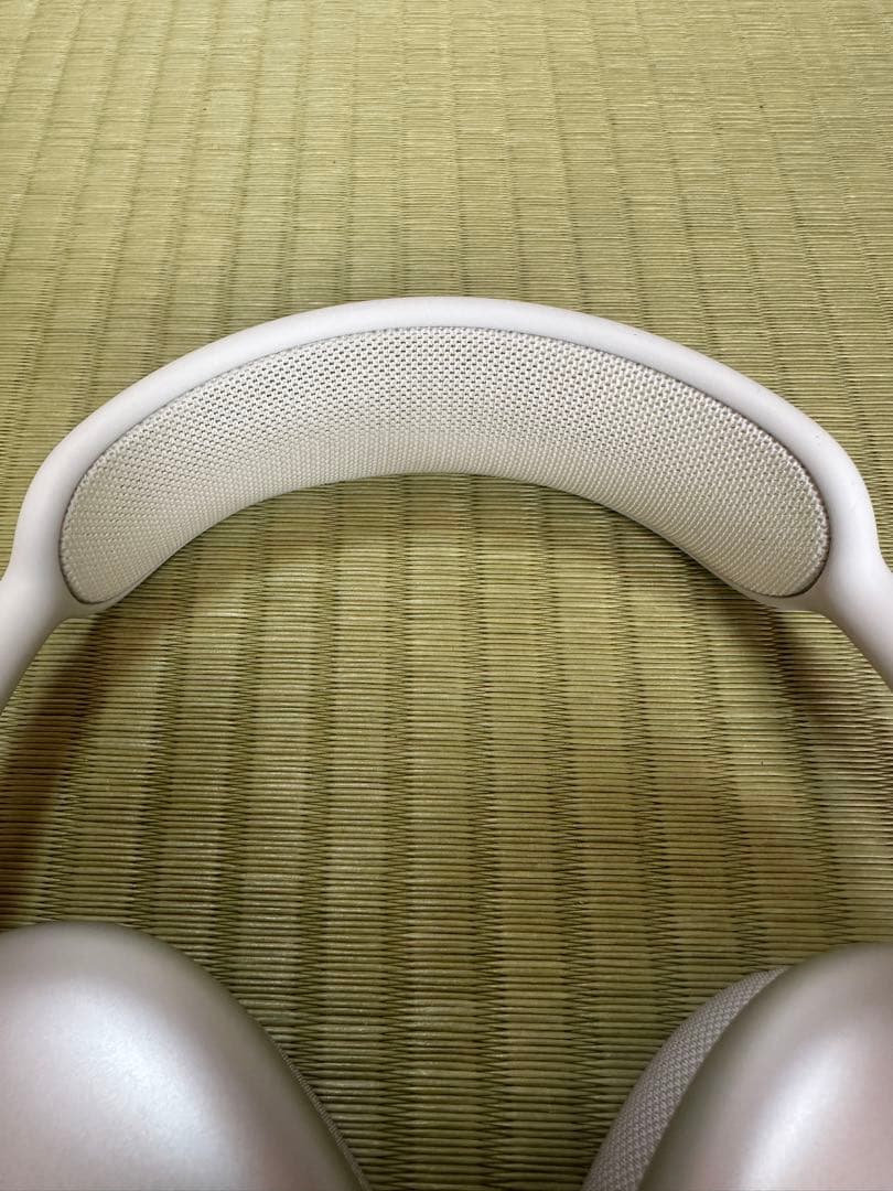 ⚠️完売人気商品⚠️ AirPodsMAX シルバー