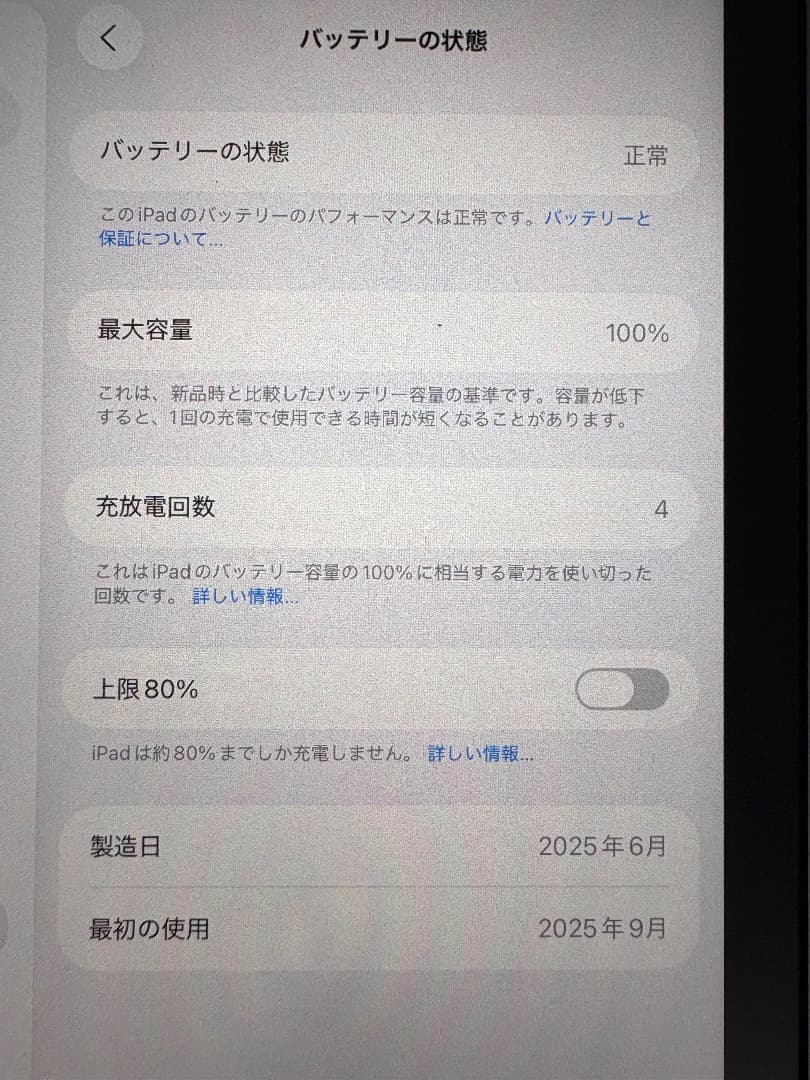 Apple iPad mini A17 第7世代 512GB スペースグレイ