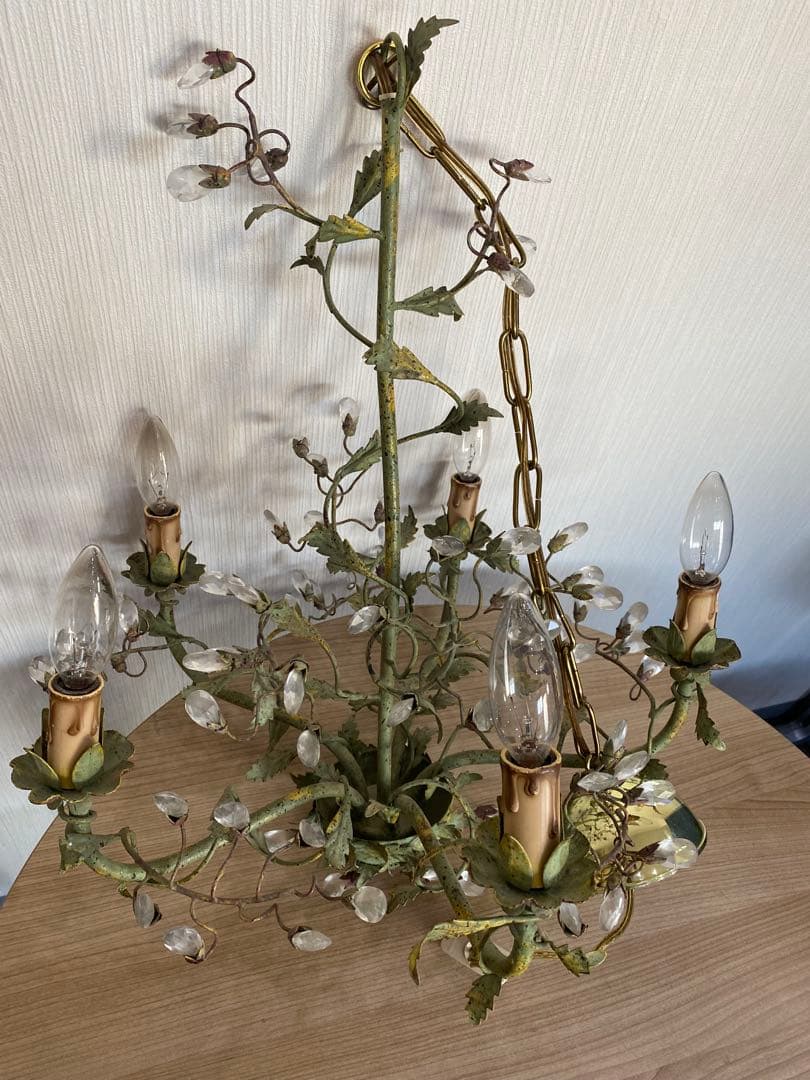 De Luce ド・ルーチェ シャンデリア　5灯　植物　アンティーク