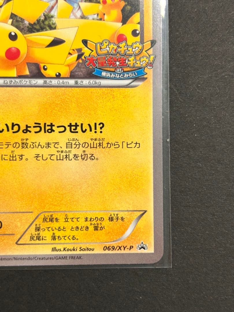 ピカチュウ大量発生チュウ！069