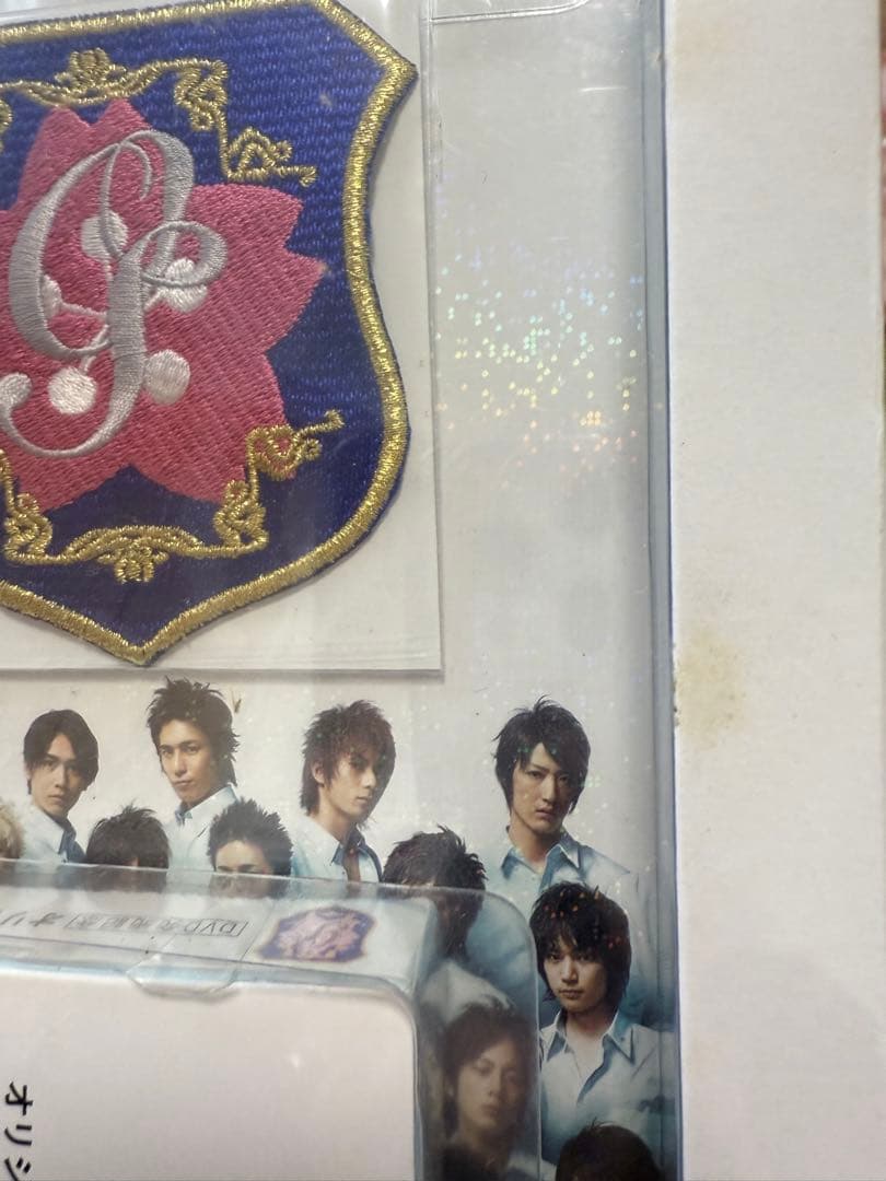 【初回限定セット】花ざかりの君たちへ イケパラ 前後編 DVD-BOX 特典付き