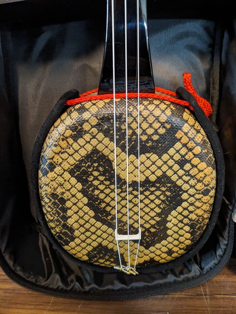 さ*な様 D1071　三線　リュックサック型　ケース　テキスト　教科書　弦　その