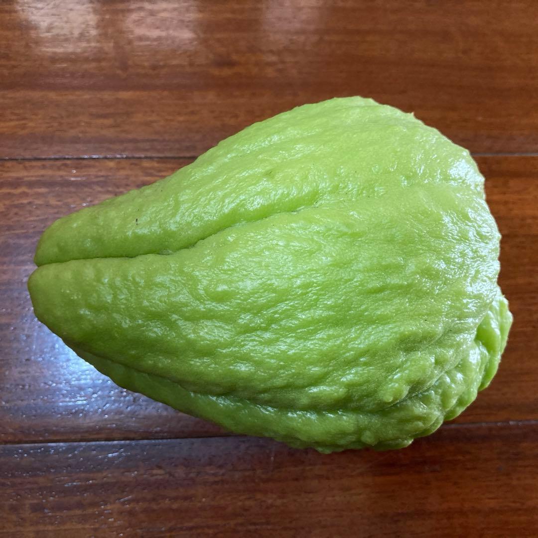 ハヤトウリ 無農薬 採れたて 20キロ