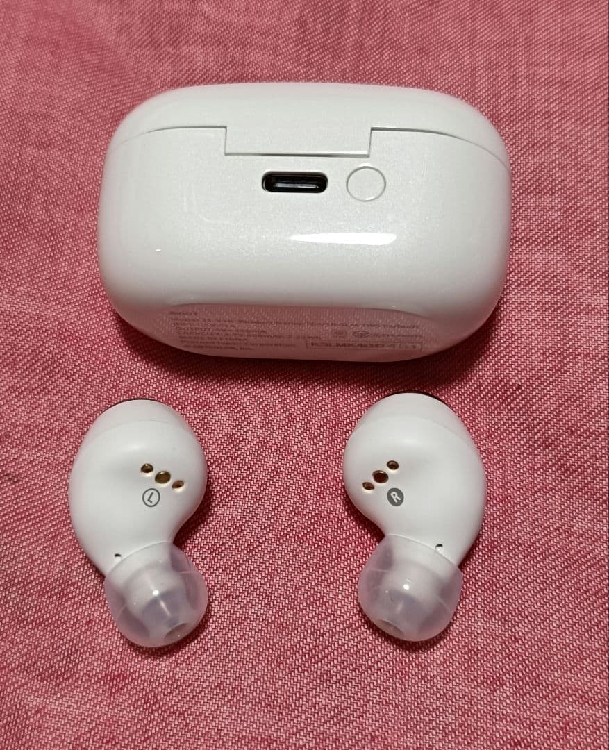 AVIOT 完全ワイヤレスイヤホン TE-V1R-SLM 壱百満天原サロメ