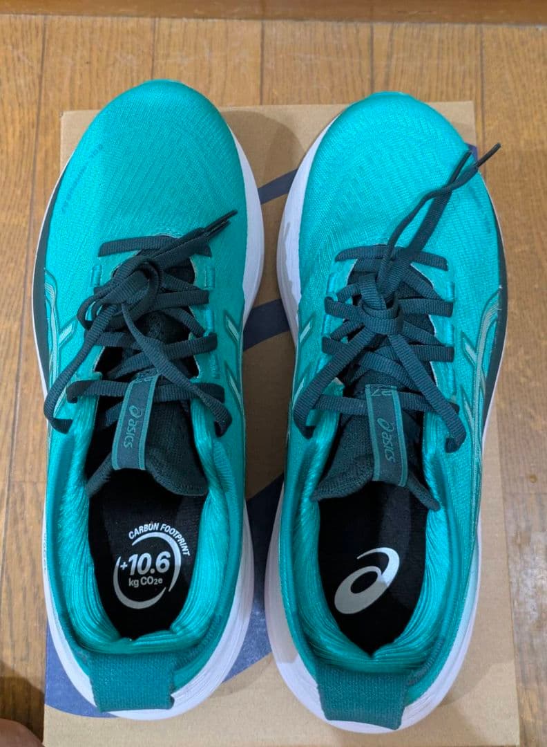 アシックス ゲルニンバス27 25.0 cm 美品