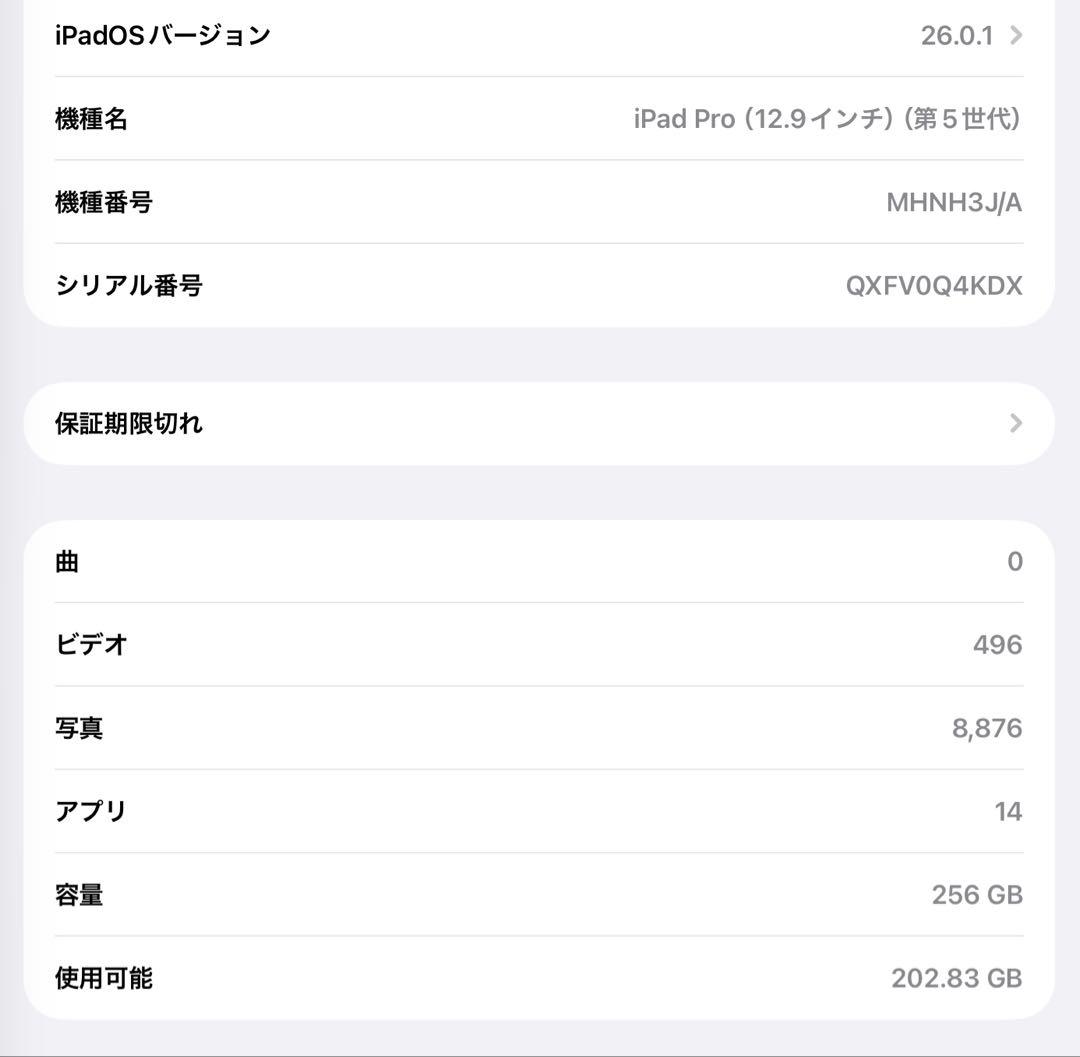 iPad Pro 12.9インチ 第5世代 Wi-Fi 256GB M1