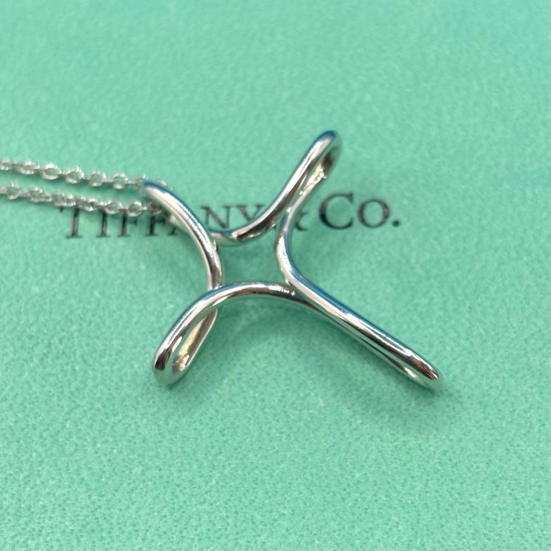 TIFFANY&Co.【極美品・廃盤】インフィニティクロスネックレスラージ付属品