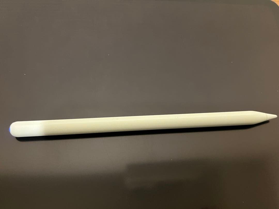 iPad Pro 第1世代256GB wifi + 社外製ペン