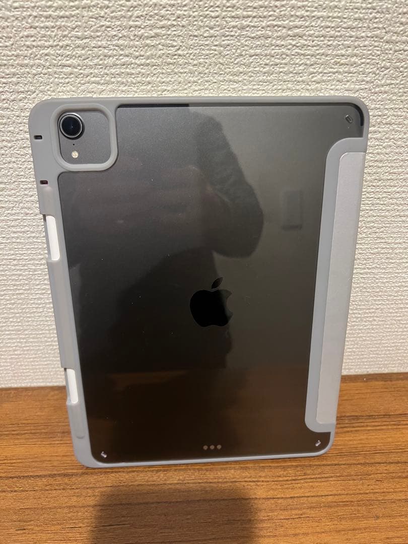 iPad Pro 第1世代256GB wifi + 社外製ペン