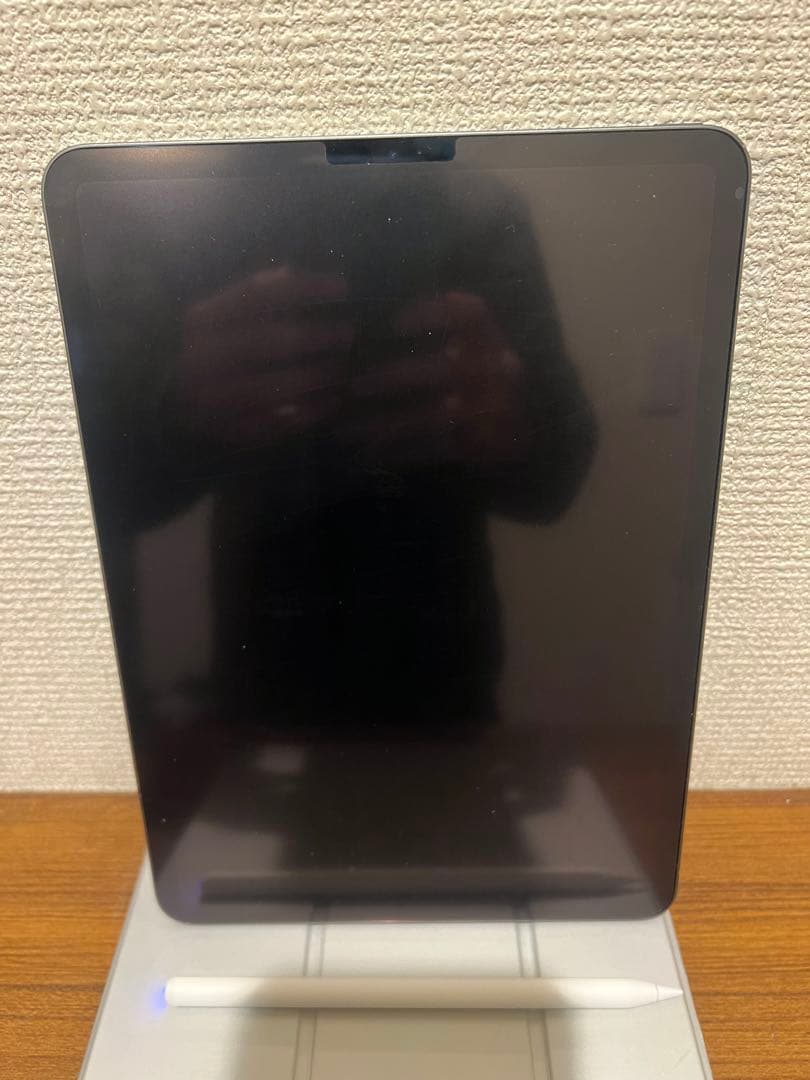 iPad Pro 第1世代256GB wifi + 社外製ペン