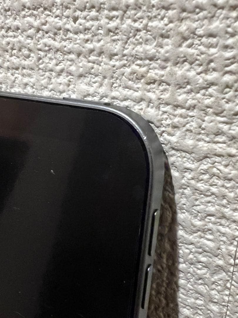 iPad Pro 第1世代256GB wifi + 社外製ペン