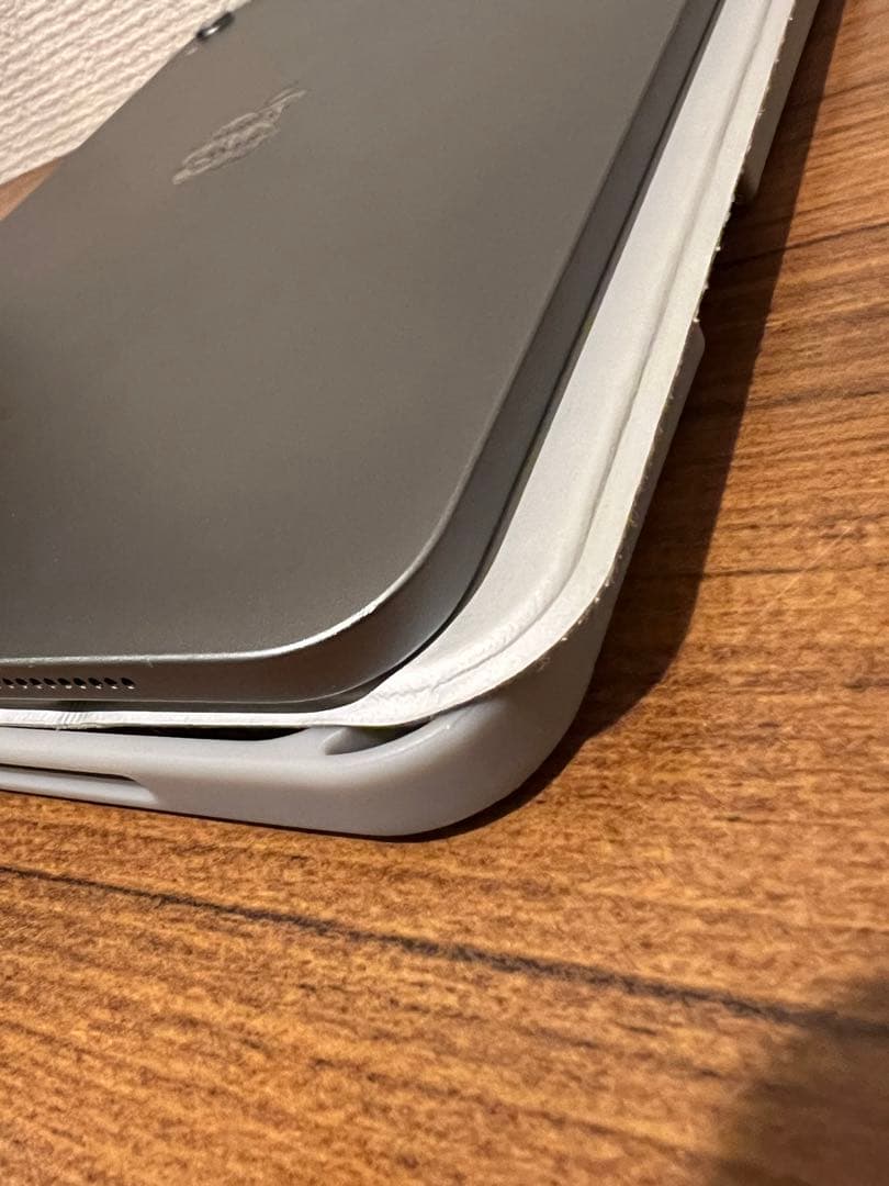 iPad Pro 第1世代256GB wifi + 社外製ペン