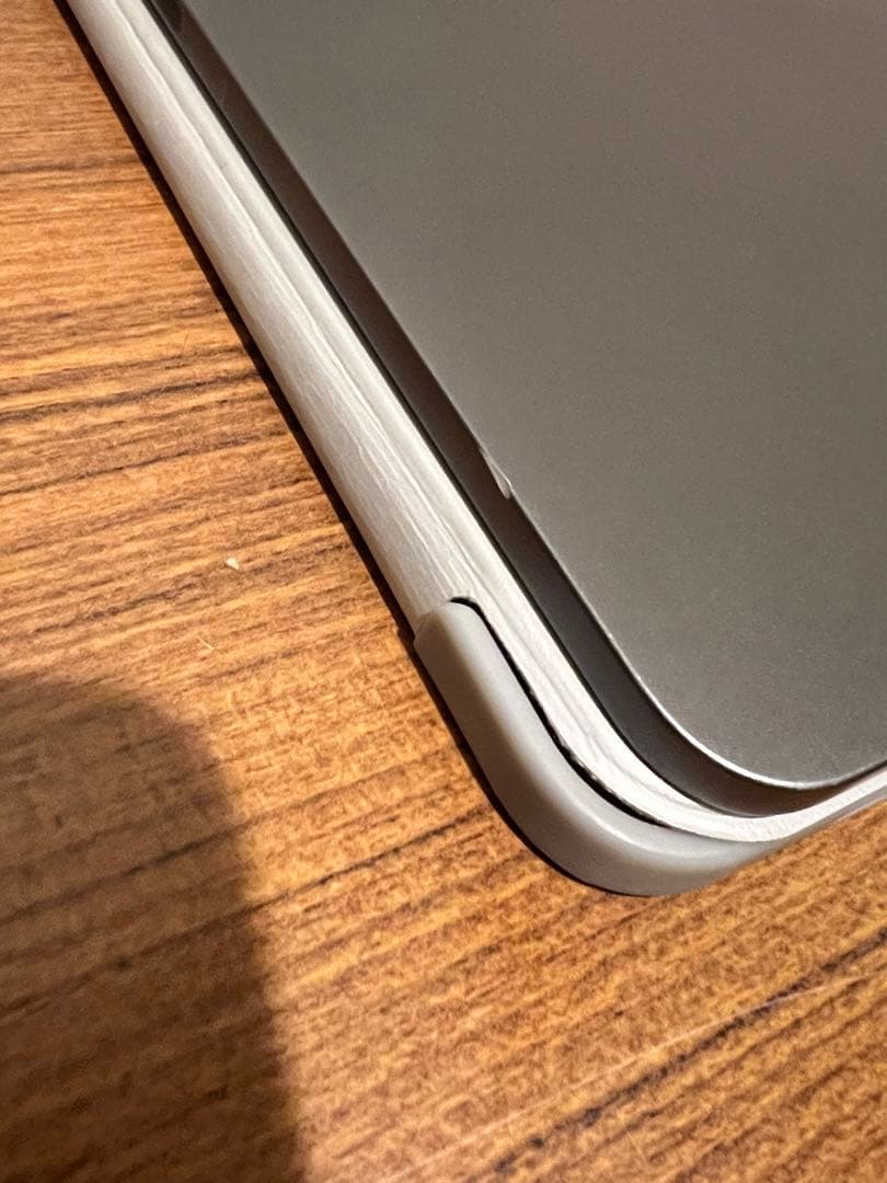 iPad Pro 第1世代256GB wifi + 社外製ペン