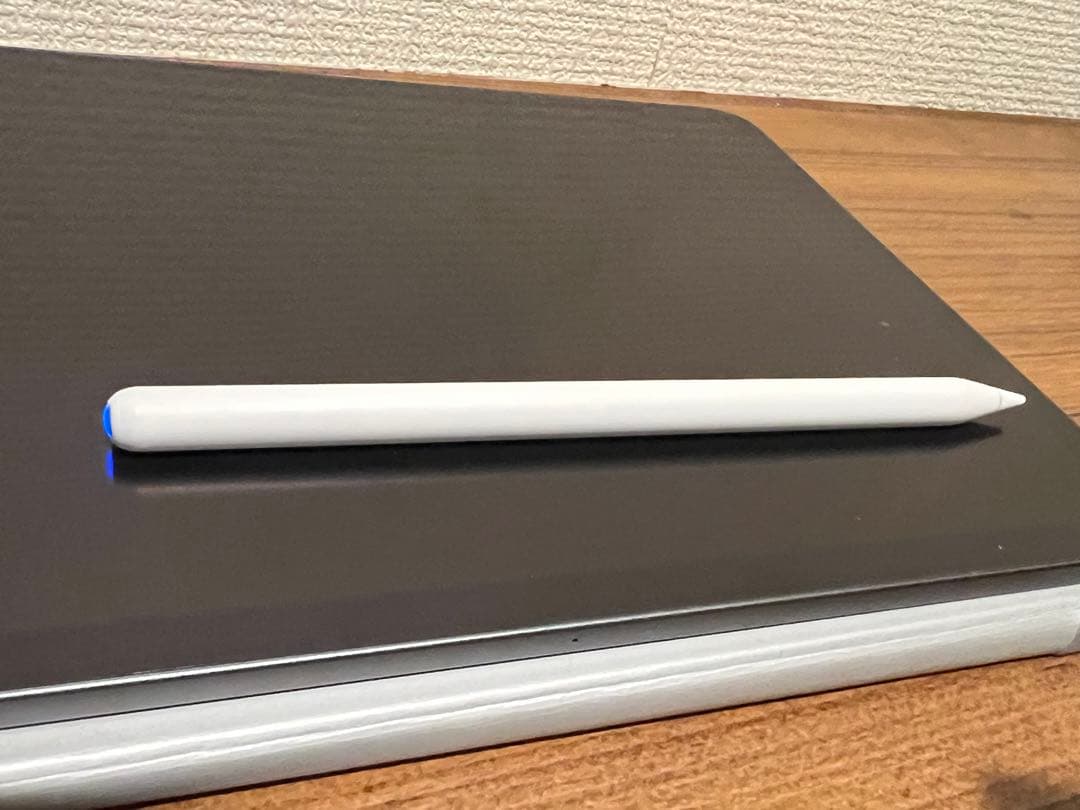 iPad Pro 第1世代256GB wifi + 社外製ペン