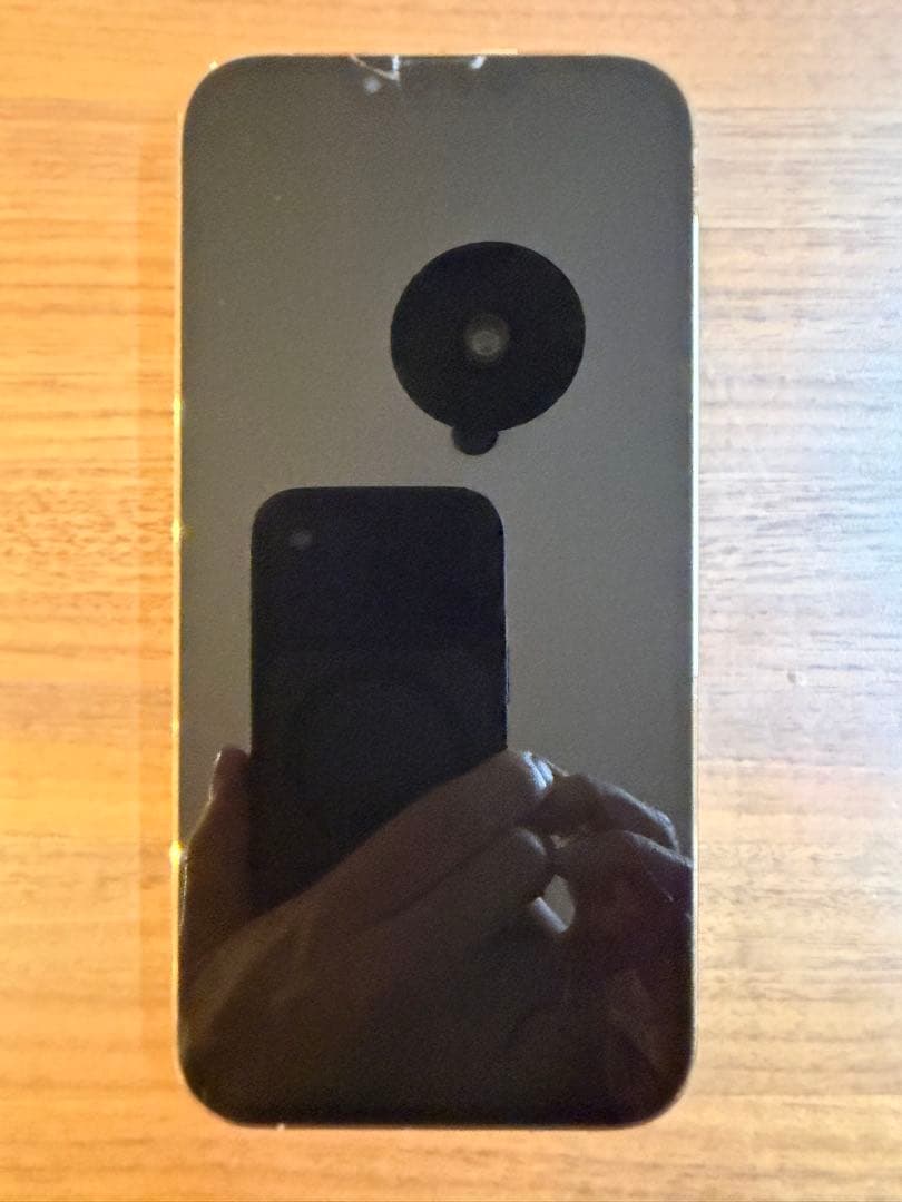 【ジャンク】iphone13 pro max 256GB / おまけケース付き