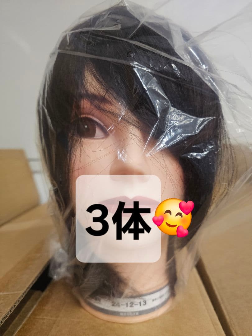 美容師国家試験　三矢カットウィッグ3体