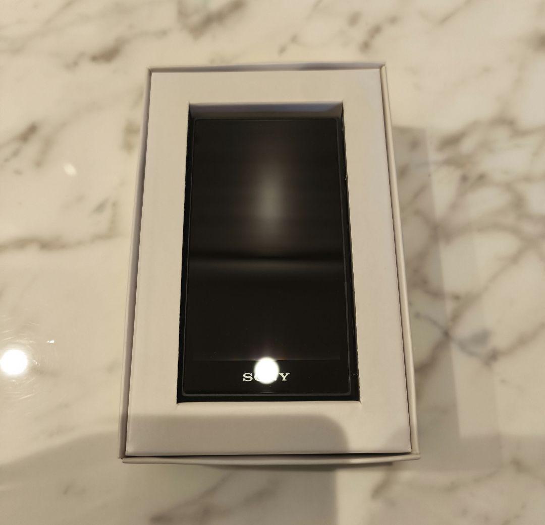 SONY ウォークマン　NW-A105 【美品】