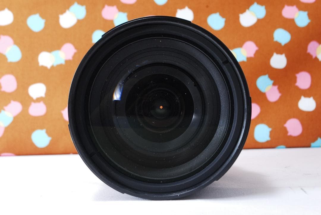 ✨ショット数772回✨新品級✨Nikon D50 レンズセット