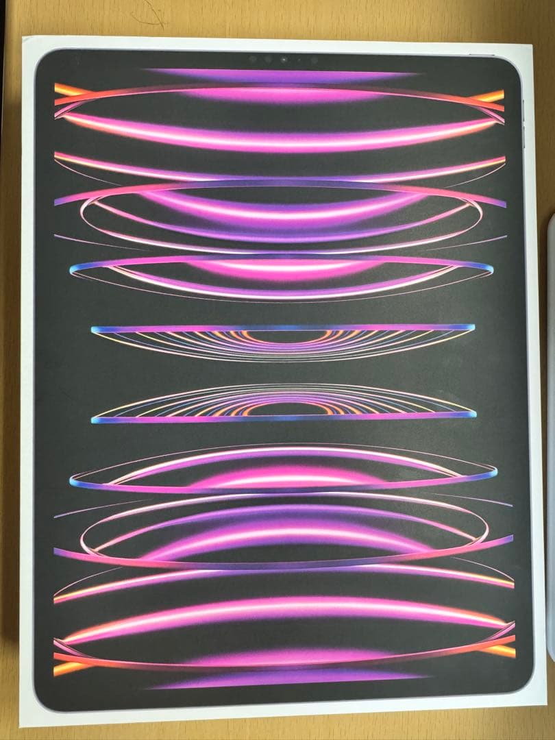 iPad Pro 第六世代 256GB 12.9インチ