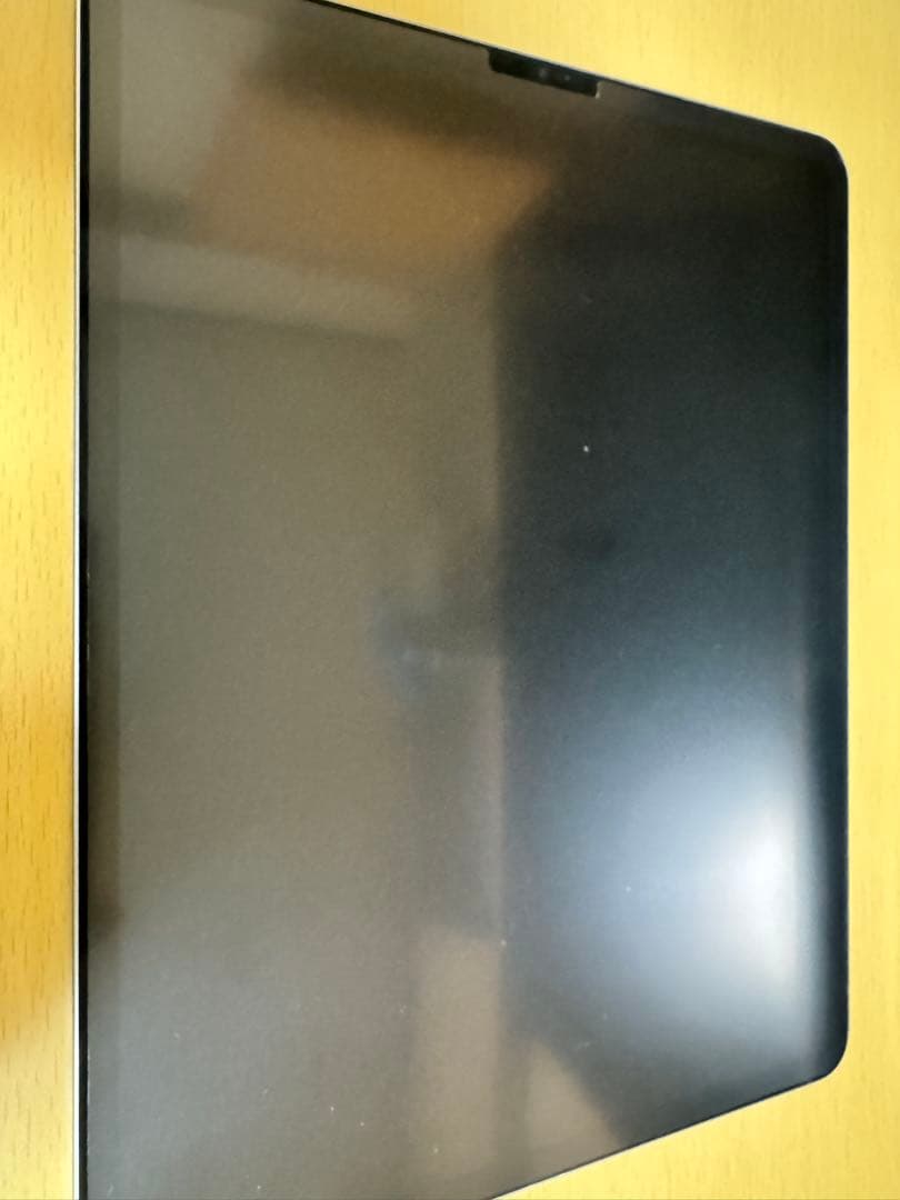 iPad Pro 第六世代 256GB 12.9インチ