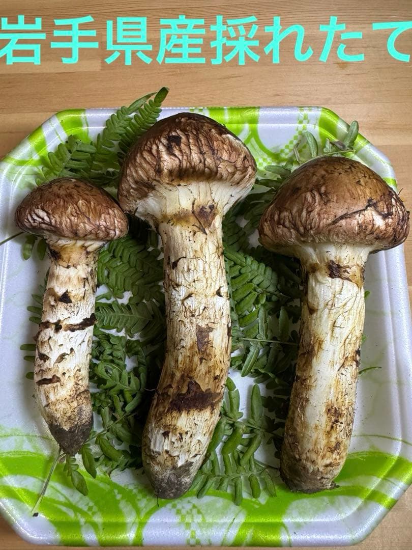 岩手県産　本日採れたて！　松茸　マツタケ　まつたけ　国産