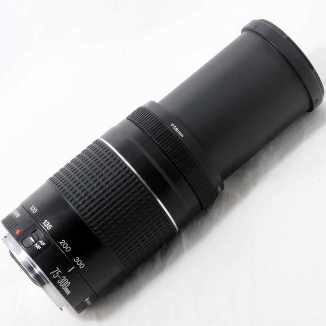 ⭐️実用品⭐️Canon キャノン EF 75-300mm F4-5.6 Ⅲ