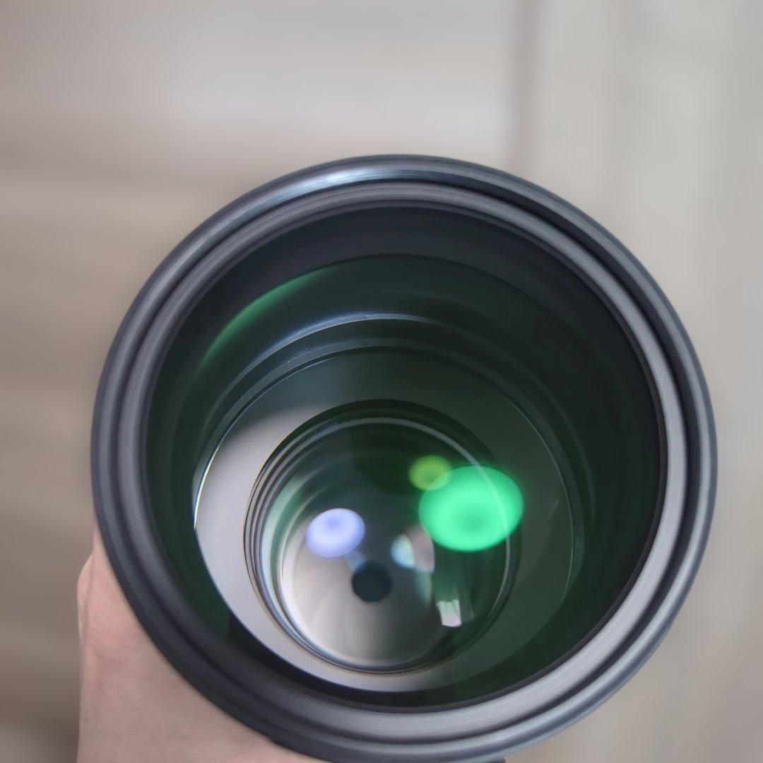 NIKKOR Z 400mm f/4.5 VR S フィルタ付き