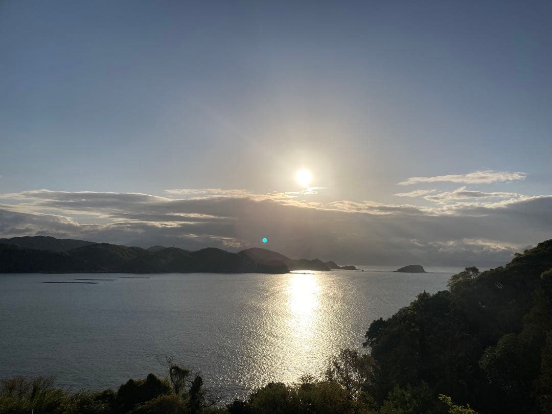 ココ　日本蜜蜂　生ハチミツ　蜂蜜