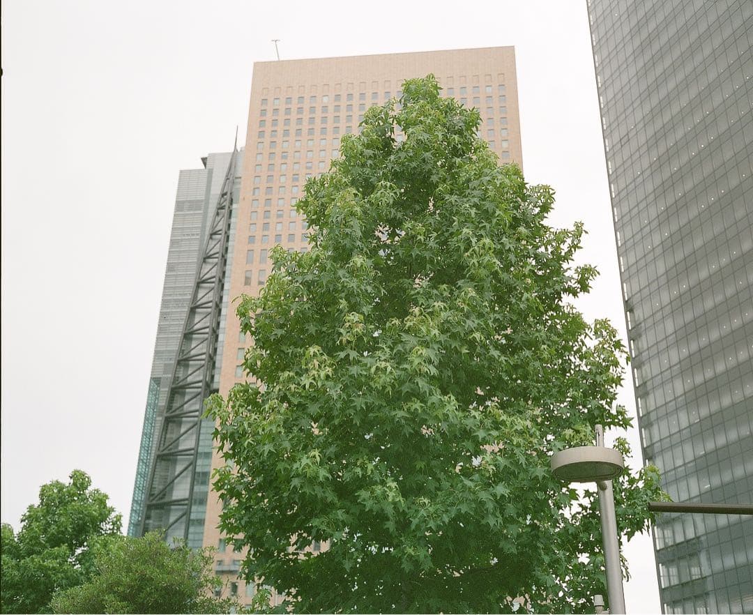 Plaubel Makina 67 （ファインダー曇りあり）