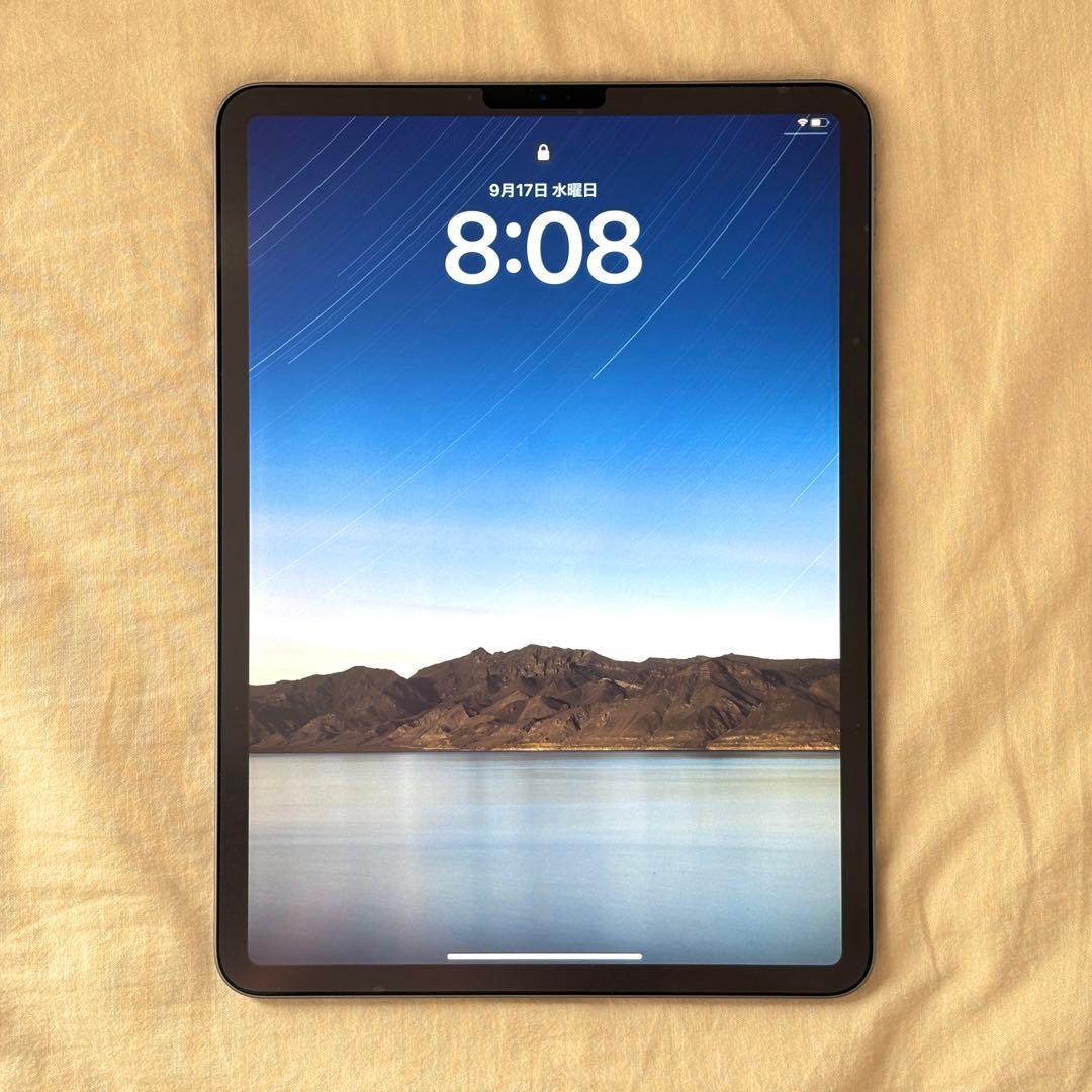 iPad Pro 11インチ 第一世代 64GB ApplePencil付き