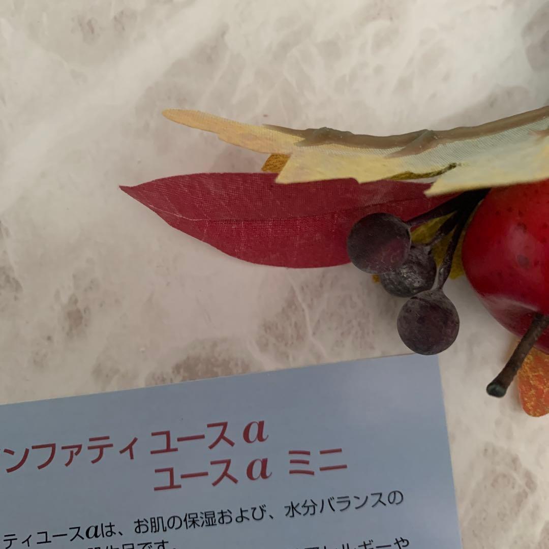 えりー❤️アンファティ　ユースNA大新2本/サンプル4個・原料帳1プレゼント