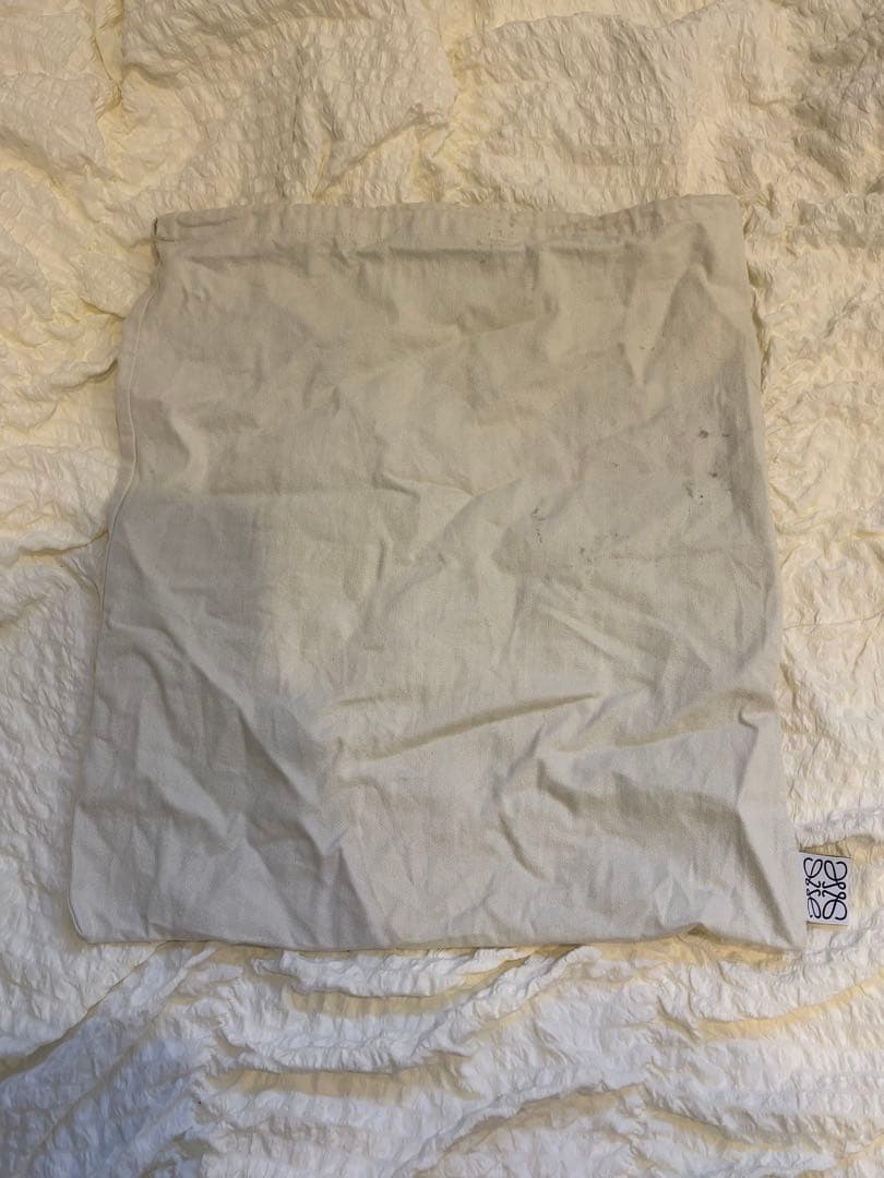 LOEWE かご　バッグ　スモール