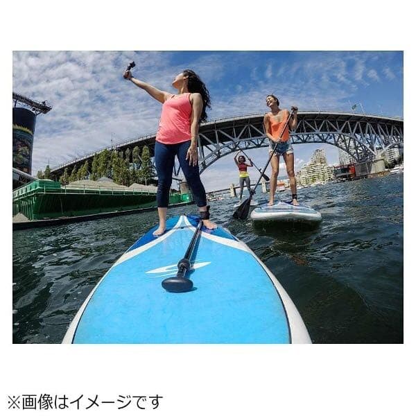 GoPro 6 5用