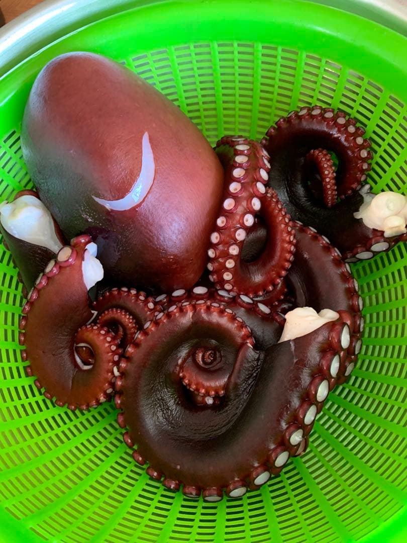 ご予約様分‼️朝獲れ新鮮水ダコ‼️脚2本‼️×4‼️冷凍