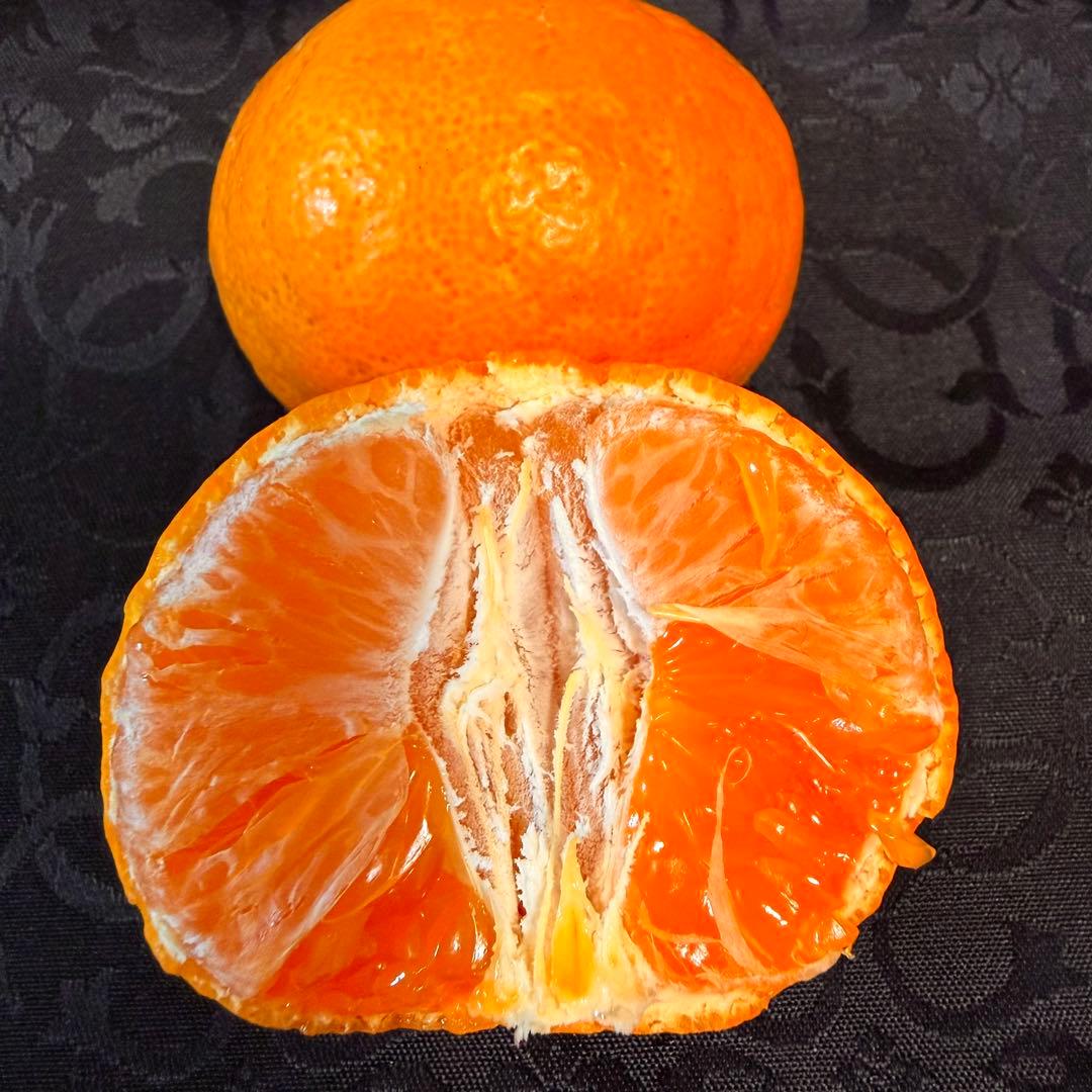 888)数量限定　甘すぎる　有田みかん　果物 　みかん　小玉　旬