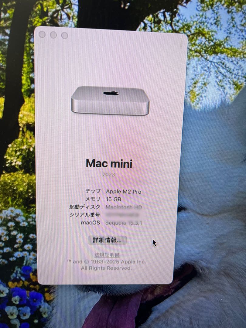 Apple Mac mini 本体