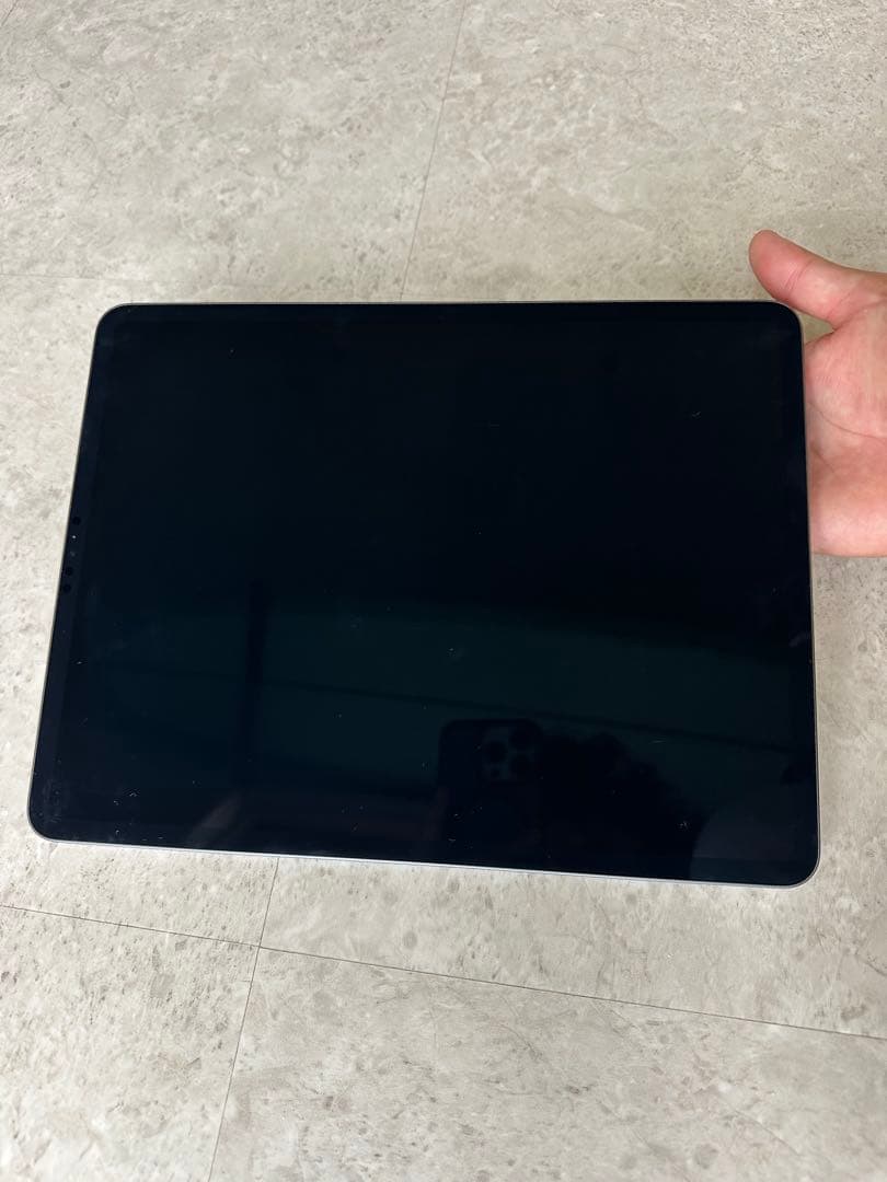 iPad Pro 12.9 第5世代 ジャンク バックライト不良