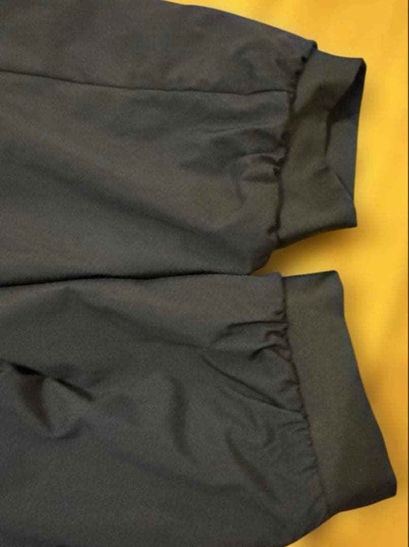 ジャケット・アウター ARC'TERYX Atom Hoody Black Sapphire / M