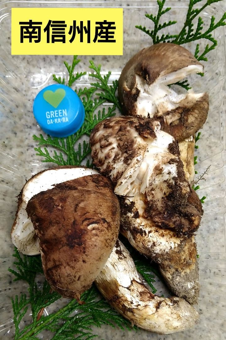 41.南信州産松茸約165g