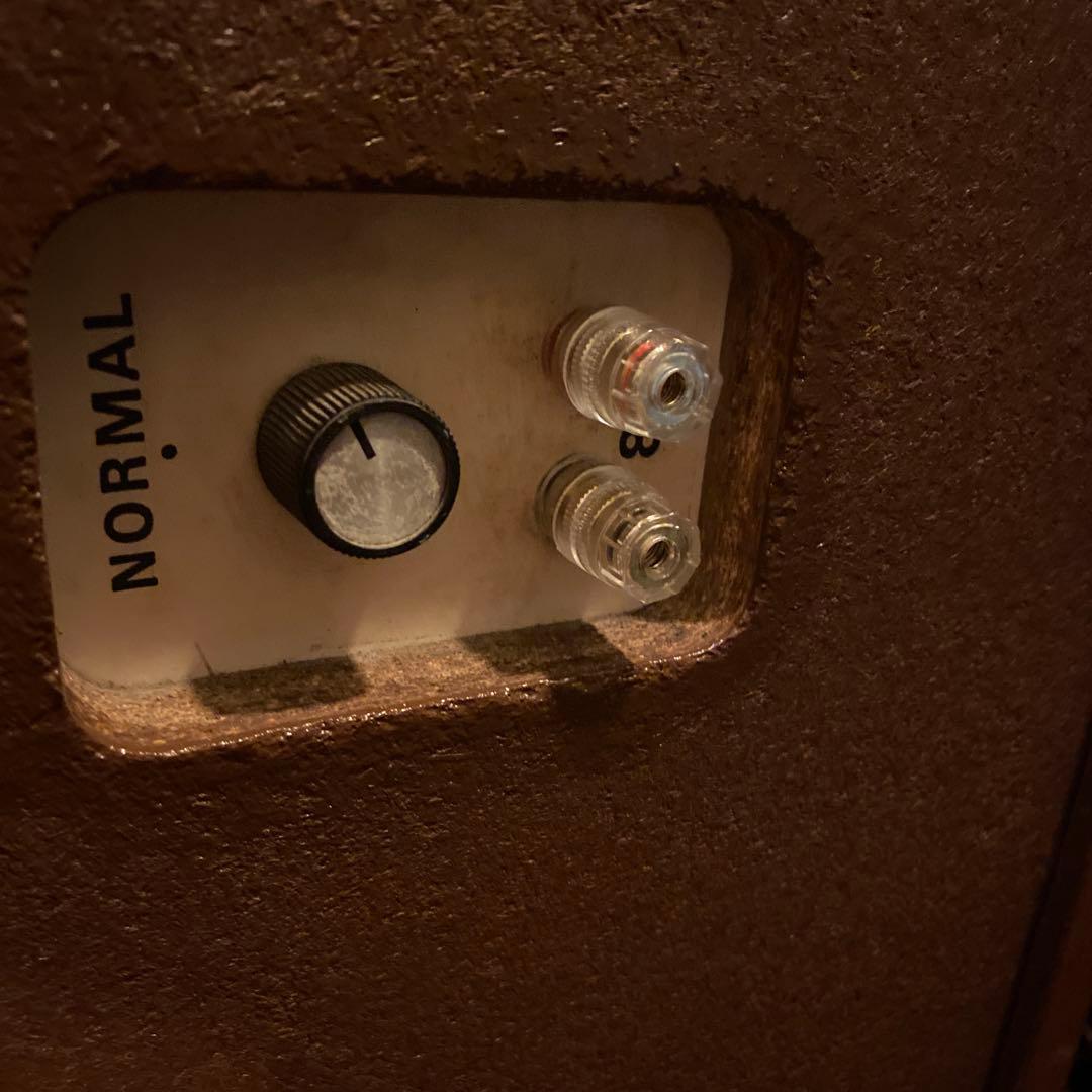 DYNACO/SCANDYNA A25 リペア品　専用