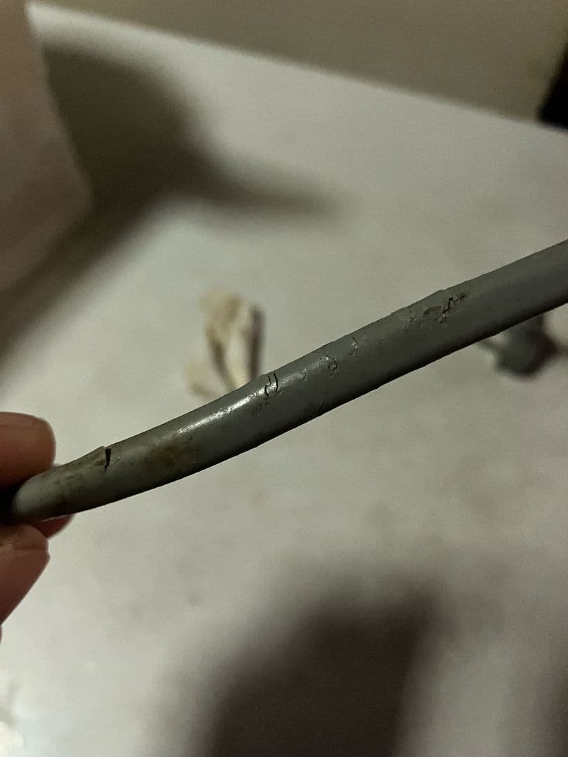 アイスクリーマ　業務用