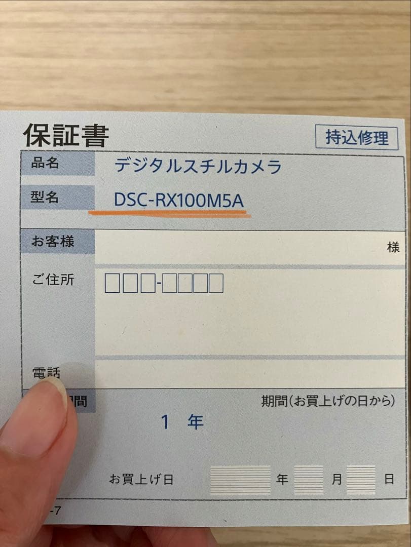 SONY RX100V DSC-RX100M5Aカメラ