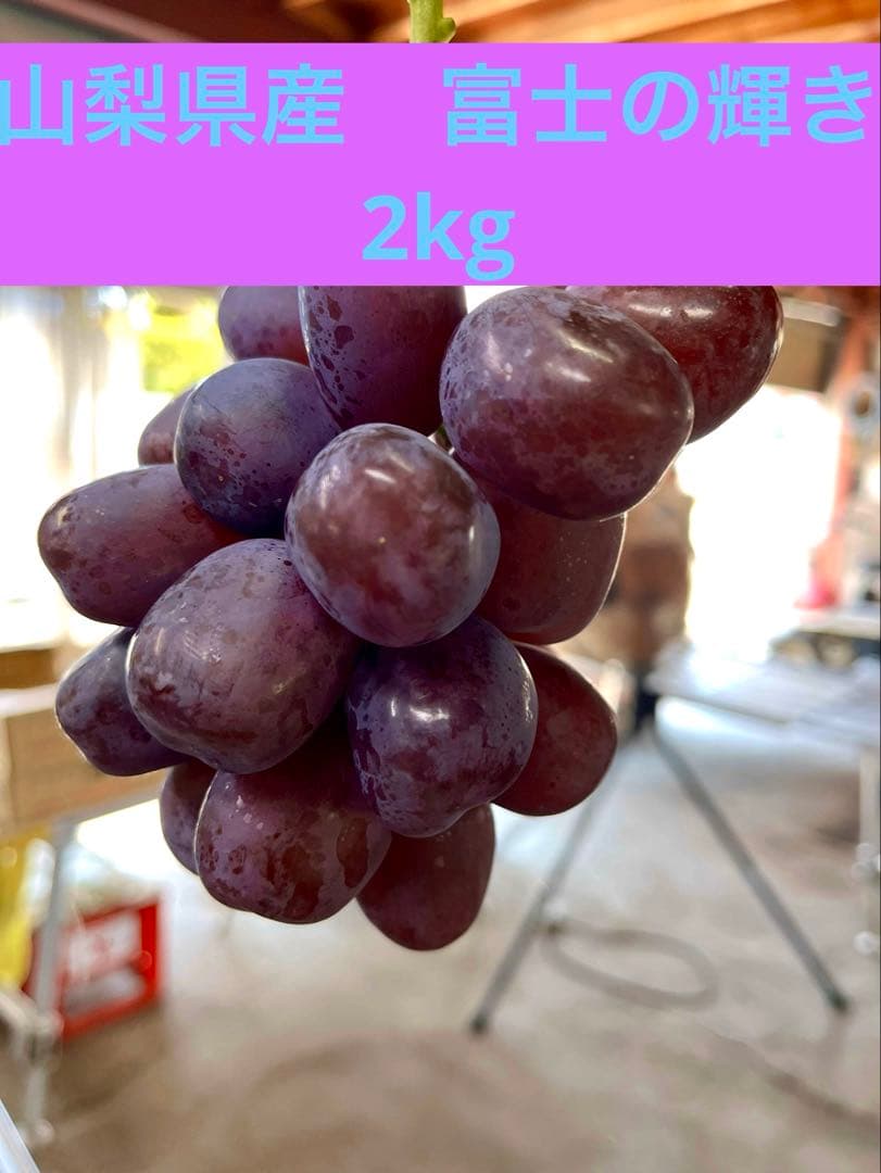 #2 山梨県産　富士の輝き　2kg