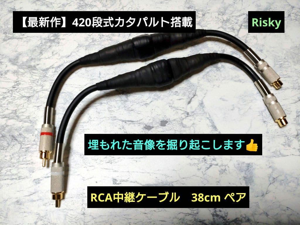 【最新作】420段式カタパルト搭載　RCA中継　38cmペア