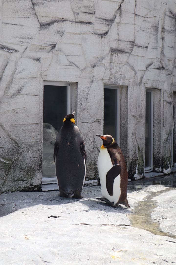 【値下げ】Canon EOS Kiss M、超広角レンズ 、高級フィルター他