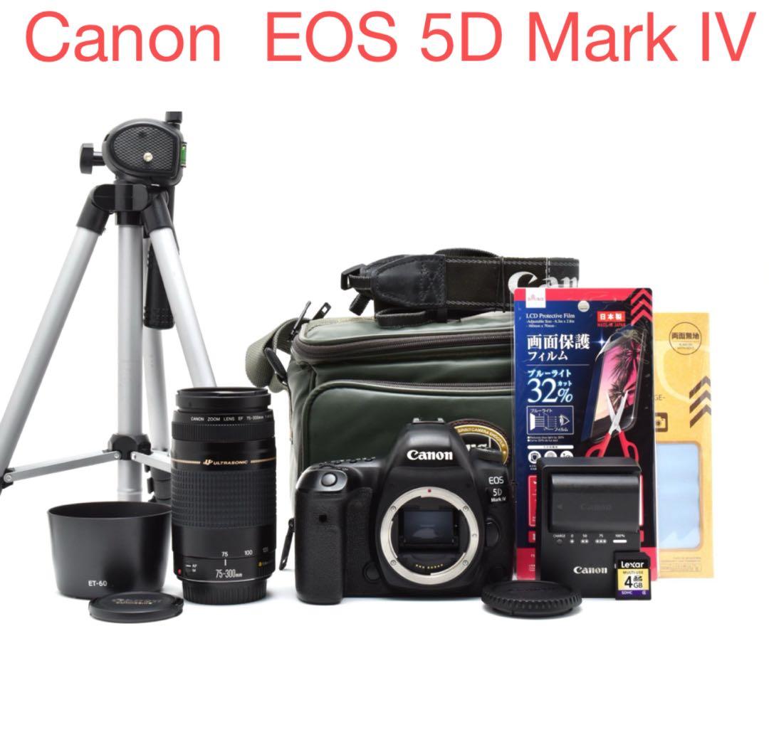 デジタル一眼レフカメラCanon EOS 5D Mark IV望遠レンズセット