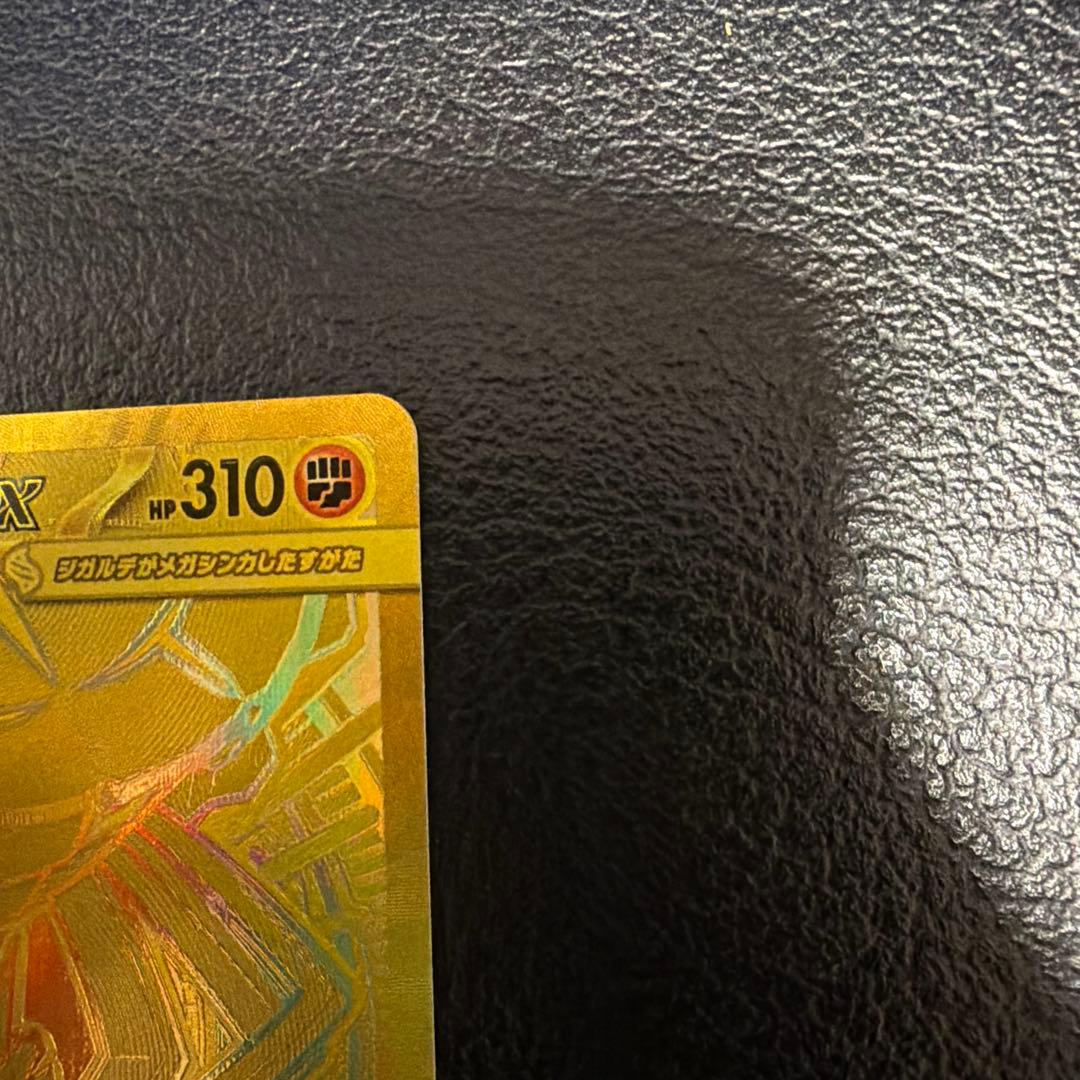 s*u様 メガジガルデナEX