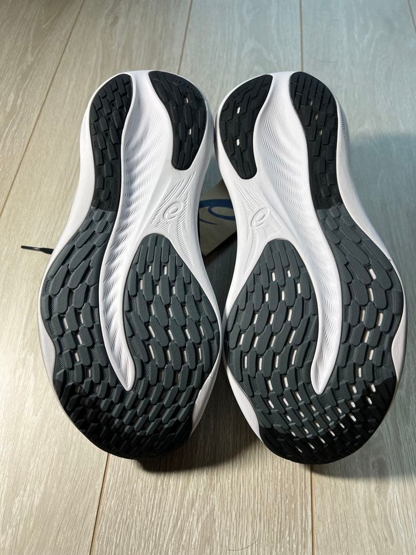 アシックス ゲルニンバス26 サイズ26.0WIDE